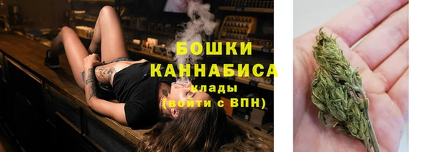 амф Елизово
