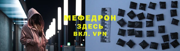 спиды Ельня