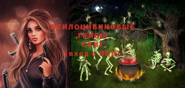 Альфа ПВП Аркадак