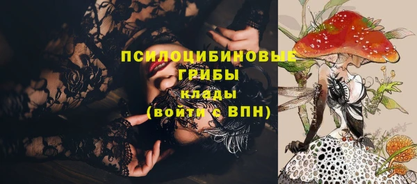 дурь Елабуга