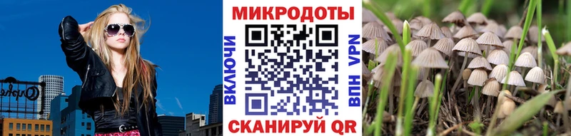 наркошоп  Коломна  Галлюциногенные грибы Psilocybine cubensis 