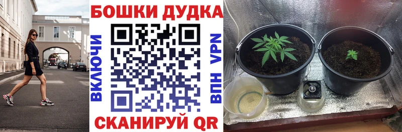 Каннабис White Widow Коломна